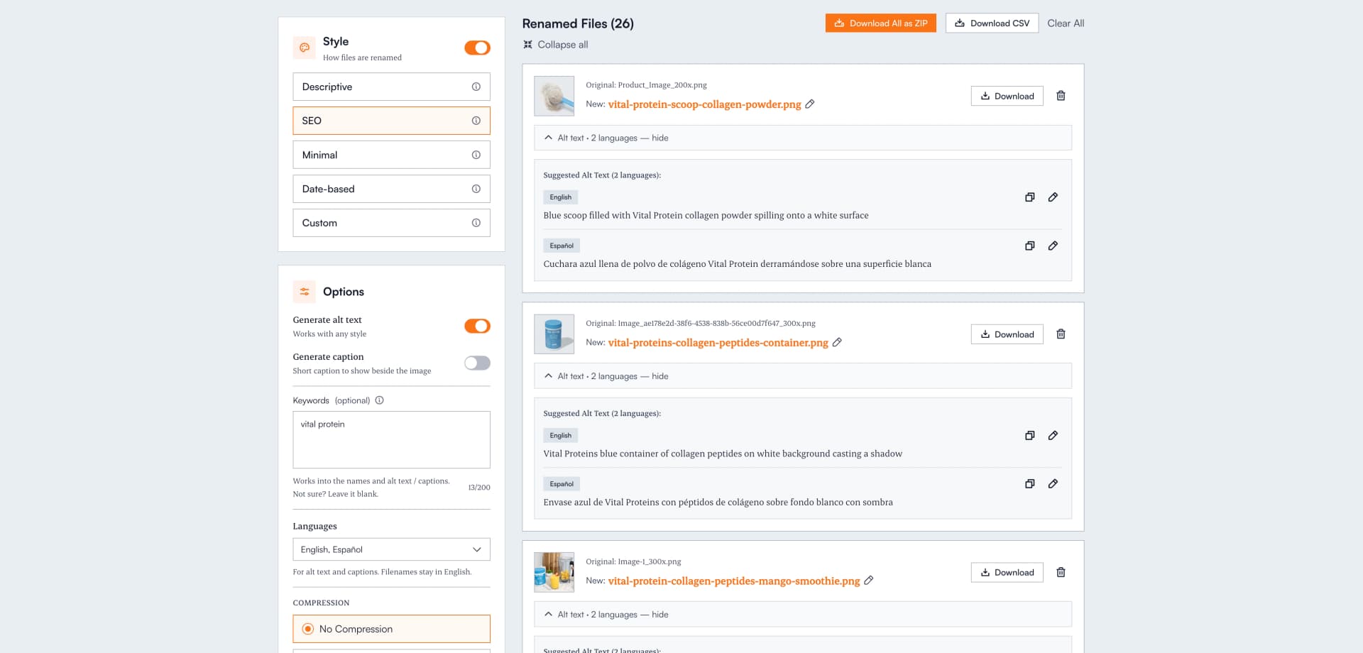 Renameit workspace showing images renamed to descriptive file names with AI-generated alt text