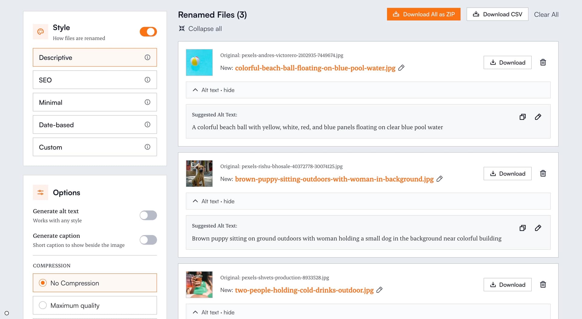 Renameit workspace showing images renamed to descriptive file names with AI-generated alt text